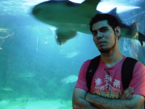 lucliber's profile picture. 