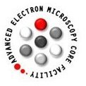 Electron Microscopy Core Facility, ICR, OUS (@icrcore) 's Twitter Profile Photo