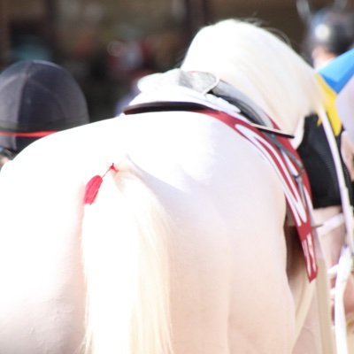 Mdryu221's profile picture. 晦冥を照らせ永遠の耀き