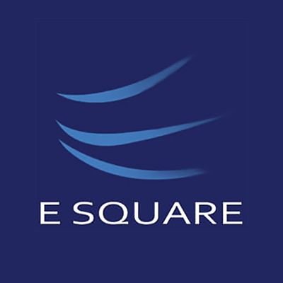 E Square System & Technologies Pvt. Ltd.