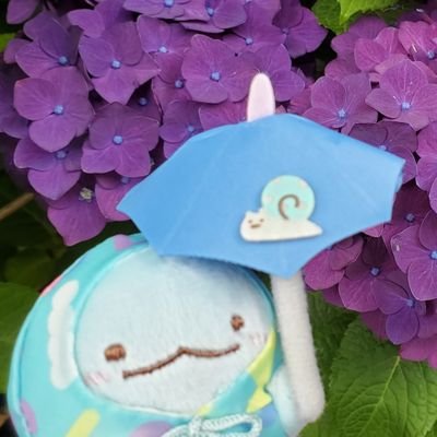 てっこさんのプロフィール画像