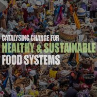 CCHeFS Africa (@cchefs_idrc) 's Twitter Profile