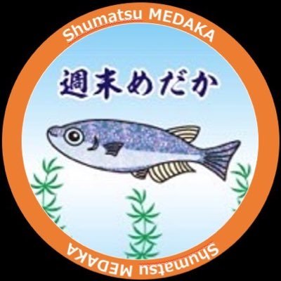 週末メインにメダ活やってます〜 SNS利用して低価格で販売などもやってますので 気軽に立ち寄ってください♪ https://t.co/504WFo7kj4