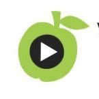 Mrs. GREEN APPLE 無言フォロー失礼致します🙇♂️ 🍏ついてる人は問答無用でフォロバします( ¨̮ )