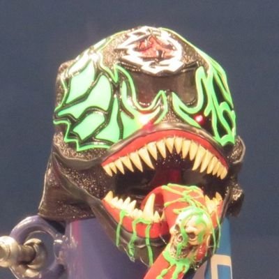 新日本プロレス、STU48、平成二期仮面ライダーが好きです。無言フォローすいません。