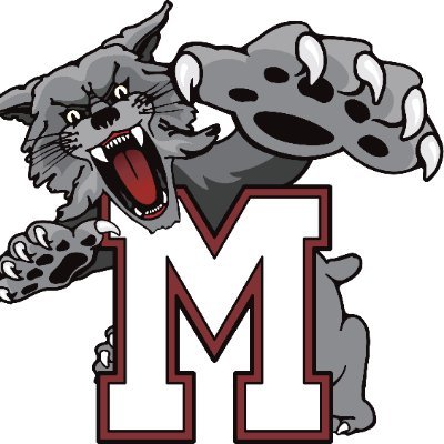 The official twitter account of the Mechanicsburg Area School District Athletic Department. Tradition, Pride, Excellence. WILDCAT PRIDE!