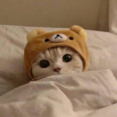 str8gglingkidd0's profile picture. looking for commissioners !