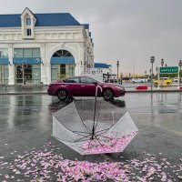 ام تركي💕 (@am_tu70) 's Twitter Profile