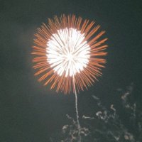 P (@e_oalh) 's Twitter Profile