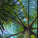 Aaron Beals - @AaronBeals7 - Twitter