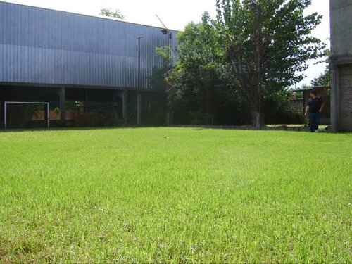 Canchas de Fubol 5 de cesped natural y 1 de tierra techada de 6. Escuelita de futbol, Salon para eventos, cumpleaños, parrilla. 4459-1639. Batlle y Ordoñez 825