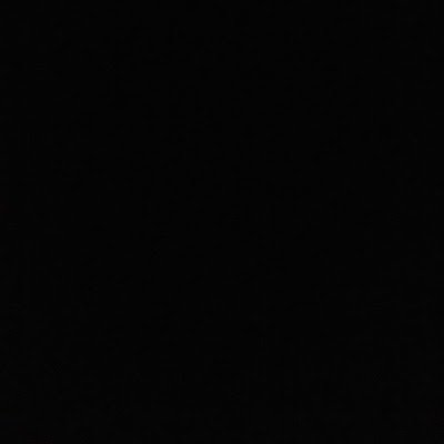ThaneLawrie's profile picture. 