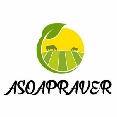 Asociación Ambientalista de Productores Agropecuarios de Veroes, Yaracuy. #MedioAmbiente#ProducciónAgropecuaria#SeguridaJuridica#Desarrollosostenible#Educación#