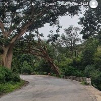 ابا شهد (@ya199136) Twitter profile photo