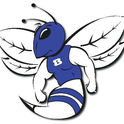 Bryant Hornets