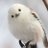 ポジポジ🐥のアイコン