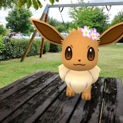 _boardgamegirl's profile picture. boardgames and Pokémon TCG 
IG: @theboardgamegirl