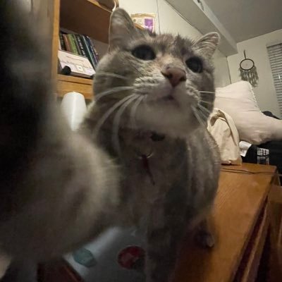 emmab5143's profile picture. 