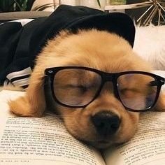 A prepotência te faz forte por um dia. A humildade, para sempre!