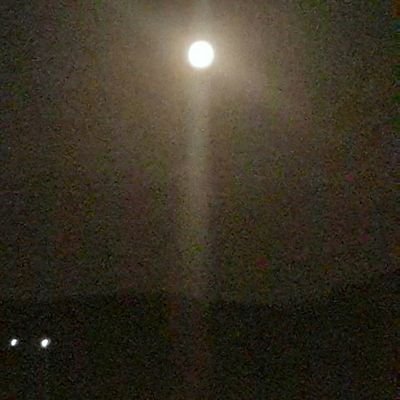 moontime4444's profile picture. 