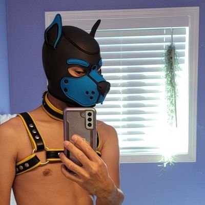 NSFW 🔞 
18+ Only.
 WA pup in training 🦴🐕‍🦺