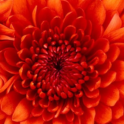 rakeshsony1992's profile picture. 