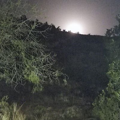 bahoooth's profile picture. اللهم صل وسلم على نبينا محمد