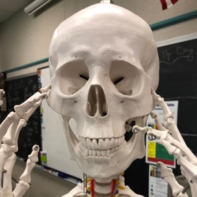 Biology Teacher at Rushville High School. Principles of Biomed, Human Body Systems, and Medical Interventions #indiana #education #rushville #pltw