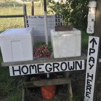 Thomas Autrey - @Farmstand7814 Twitter Profile Photo