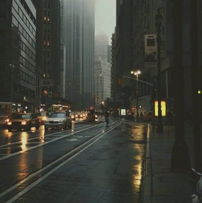 mose17539418's profile picture. 