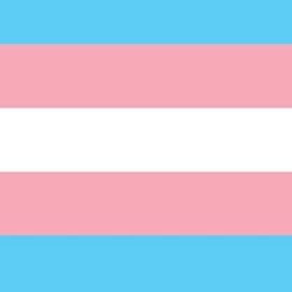 peace , love and solidarity 🌜 ✨✨ black🖤 , trans🏳️‍⚧️ , sw 💕 , crowdfunder 💐 & friend 🫂
#mutualaid #btcf  #transcrowdfund #blacktranswomen