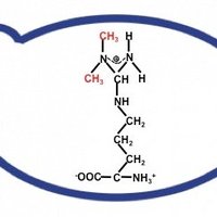 Yu Lab at UB (@argmethylation) 's Twitter Profile Photo