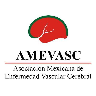 Asociación Mexicana de Enfermedad Vascular Cerebral. Mexican Stroke Association