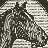 Stable Reserve (@stablereserve) 's Twitter Profile