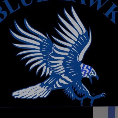 blue__hawk