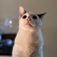 climate change herald (@dpr8ter) 's Twitter Profile