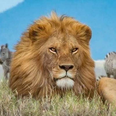 arturograna's profile picture. 