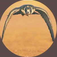 متـــابع (@m0tab3) 's Twitter Profile Photo متـــابع (@m0tab3) 's Twitter Profile Photo