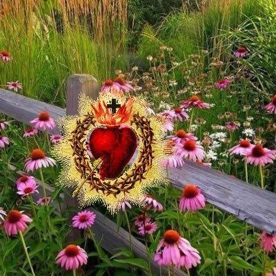 Widow of beloved husband,StepMom,StepGrandma, cradle Roman Catholic Christian, Secular Carmelite, patriot. grateful to God for all the above 🌹🙏🏻📿 No DMs