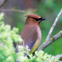 Towpath Haiku Group (@towpathku) 's Twitter Profile