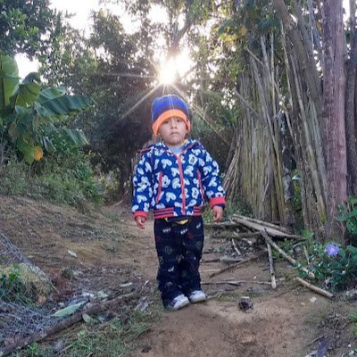 CastroRigobert's profile picture. 