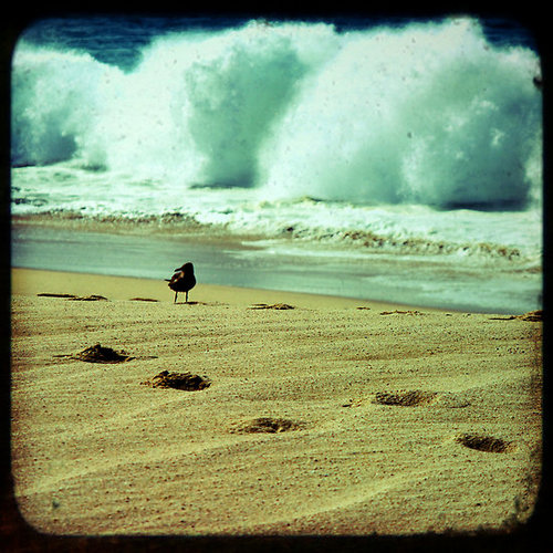 aarden666's profile picture. 