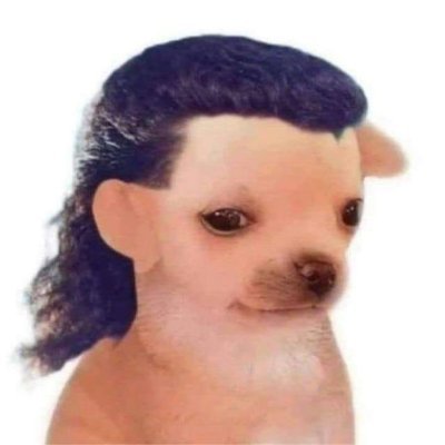 Perrito achicopaladoさんのプロフィール画像