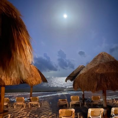 TonyAce20676587's profile picture. 