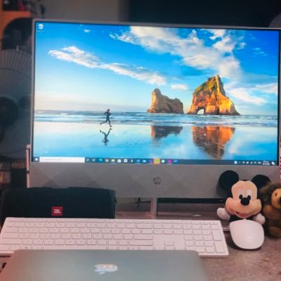 rainbowbr8's profile picture. 