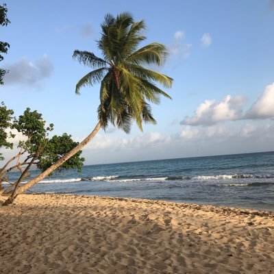 👀 Je like et je rigole de vos conneries sur Twitter 😃 From Martinique 🌴