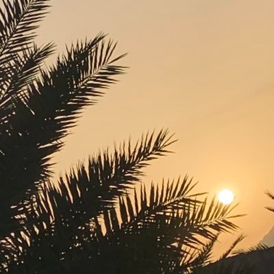 A_ALMARASHI's profile picture. "ياريح قولي : للقصب ياقصب غنْ"