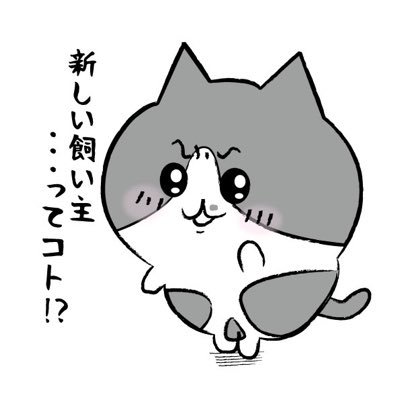シイくん@飼い猫系Vtuber(お休み中)さんのプロフィール画像