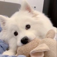 Bluebird_Rose (@rose681414) 's Twitter Profile Photo Bluebird_Rose (@rose681414) 's Twitter Profile Photo