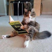 Piotr Jerzy (@m4quuv) 's Twitter Profile